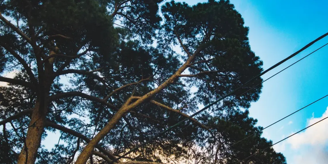 Весеннее равноденствие: когда наступит в 2026 году и как его отмечают