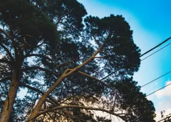 Весеннее равноденствие: когда наступит в 2026 году и как его отмечают