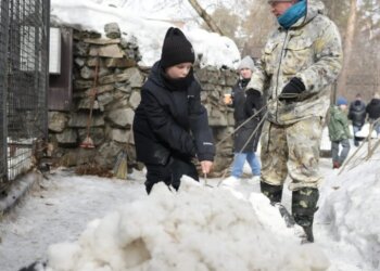 «Рекордное число добрых сердец»: экосубботник в новосибирском зоопарке собрал более 400 волонтёров