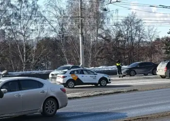 В Новосибирске снижены штрафы за отсутствие страховки у таксистов