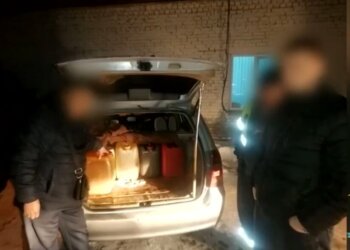 Транспортные полицейские выявили хищения топлива в аэропорту Толмачево