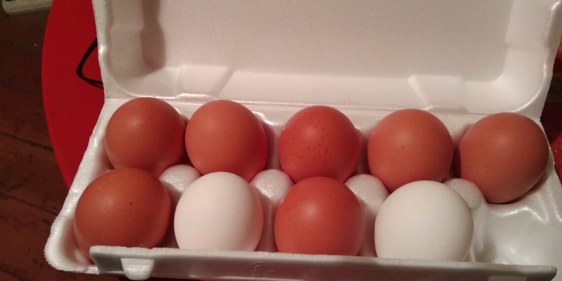 «Яйца не трогать»: ритейлеров предостерегли от резкого повышения цен на пасхальный продукт