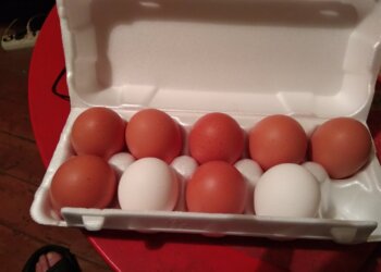 «Яйца не трогать»: ритейлеров предостерегли от резкого повышения цен на пасхальный продукт