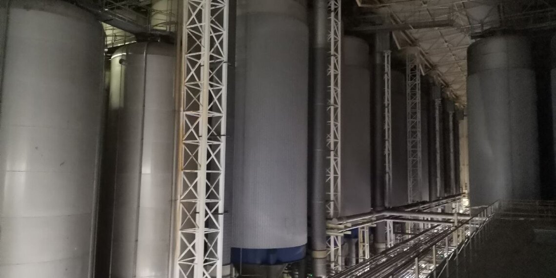 Завод по производству БАДов планируют возвести в Новосибирске