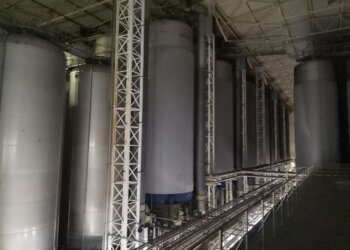 Завод по производству БАДов планируют возвести в Новосибирске