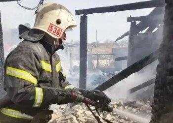 Из-за короткого замыкания сгорели постройки на 200 квадратах в Новосибирской области