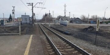 Грузовой поезд сбил женщину на платформе «Совхоз Бердский»