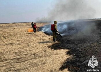 Пал на пороге: огонь чуть не уничтожил СНТ «Берёзка» в Искитиме