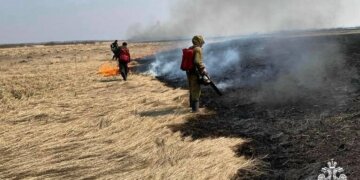 Пал на пороге: огонь чуть не уничтожил СНТ «Берёзка» в Искитиме