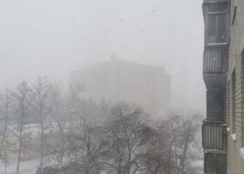 Дожди, снег и холодный ветер ожидаются в Новосибирской области