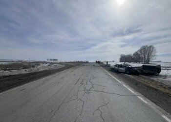 У водителя не было прав: два человека погибли в аварии в Тогучинском районе