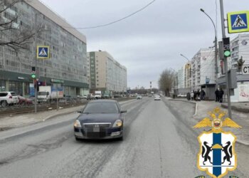 В Новосибирске автомобиль насмерть сбил 83-летнюю женщину