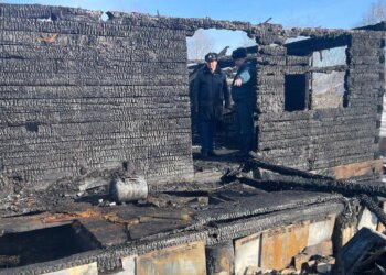 Прокуратура и следственный комитет начали проверку после гибели женщины и ребёнка при пожаре в Мошковском районе