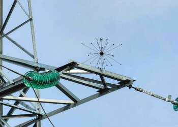 К весенней миграции птиц подготовили линии электропередачи энергетики «Россети Новосибирск»