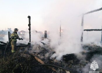 В Новосибирской области с начала года на пожарах погибли 60 человек