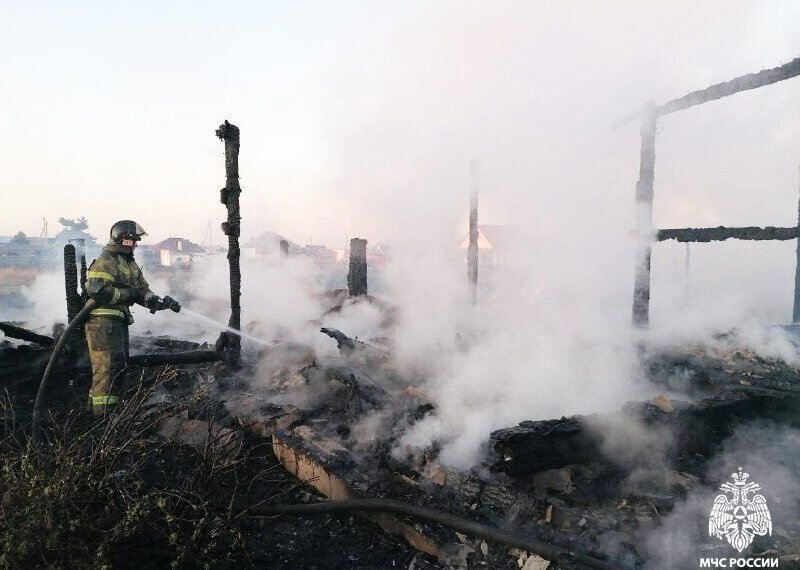В Новосибирской области с начала года на пожарах погибли 60 человек
