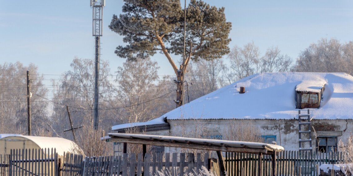Связь поколений: благодаря интернету жительница Долгово видит, как растут ее внуки