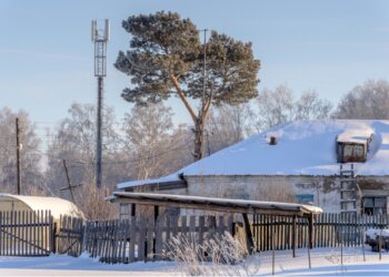 Связь поколений: благодаря интернету жительница Долгово видит, как растут ее внуки