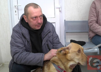 «Всё должно получиться»: новый хозяин расстрелянного в Мошково пса Бобрика надеется на дружбу пса с его котом