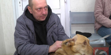 «Всё должно получиться»: новый хозяин расстрелянного в Мошково пса Бобрика надеется на дружбу пса с его котом