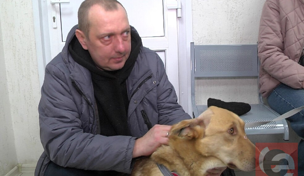 «Всё должно получиться»: новый хозяин расстрелянного в Мошково пса Бобрика надеется на дружбу пса с его котом