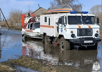 В Новосибирской области остаются затопленными почти 350 приусадебных и дачных участков