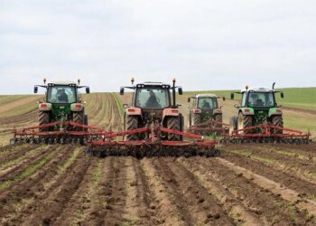 В Новосибирской области начались полевые работы в сельском хозяйстве