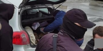 Новосибирца осудили на 4,5 года за контрабанду тестостерона