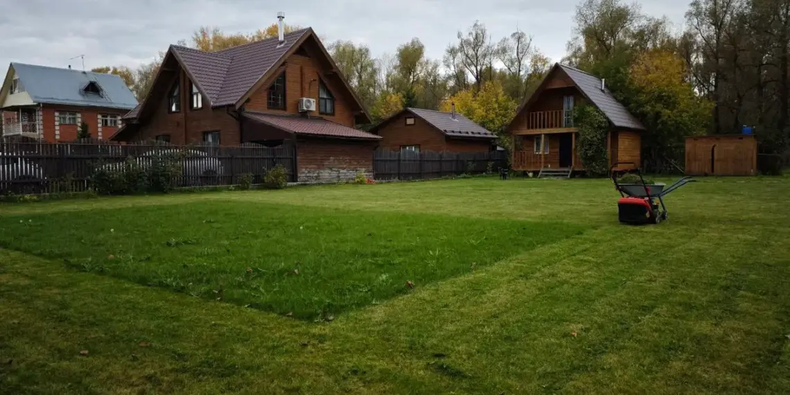 Россельхознадзор предупреждает о продаже семян борщевика на маркетплейсах