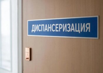 Простор для коррупции или реальная безопасность?