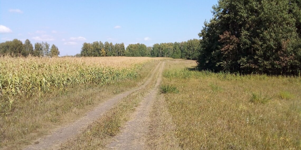 Жители отдаленных районов Новосибирской области экономят до 2 часов 45 минут в пути благодаря мультимодальным маршрутам