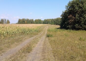 Жители отдаленных районов Новосибирской области экономят до 2 часов 45 минут в пути благодаря мультимодальным маршрутам