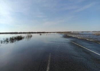 Три дороги остаются под водой в Новосибирской области