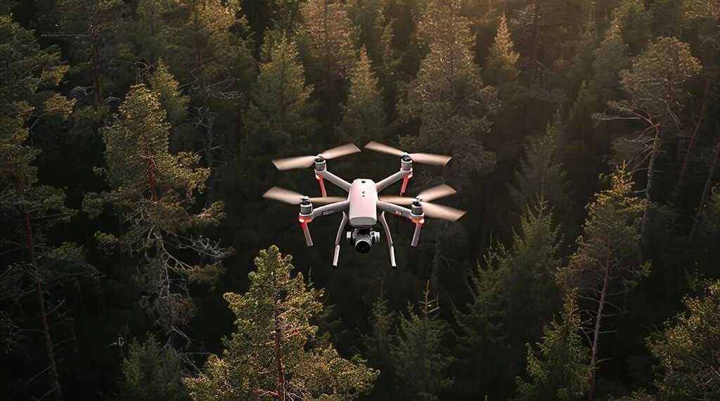 Обнаружат и потушат: за новосибирскими лесами следят с помощью ИИ