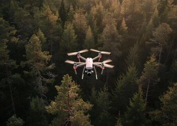 Обнаружат и потушат: за новосибирскими лесами следят с помощью ИИ