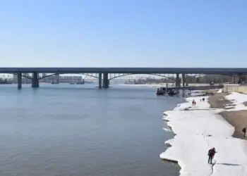 Летняя жара до +28 придёт в Новосибирскую область