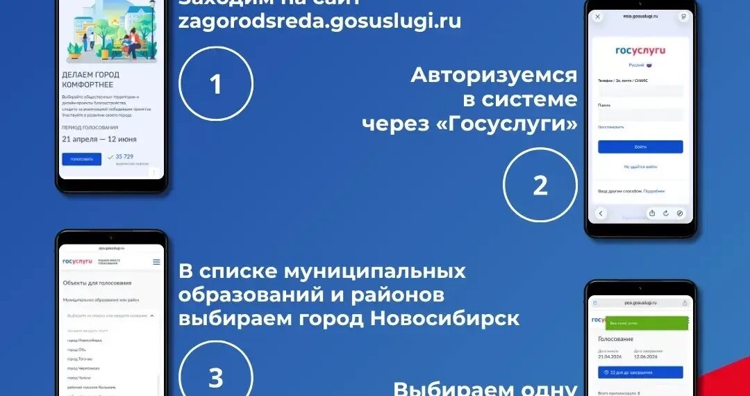 В Новосибирске назвали промежуточных лидеров голосования за благоустройство территорий