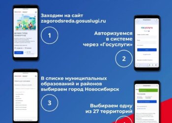 В Новосибирске назвали промежуточных лидеров голосования за благоустройство территорий