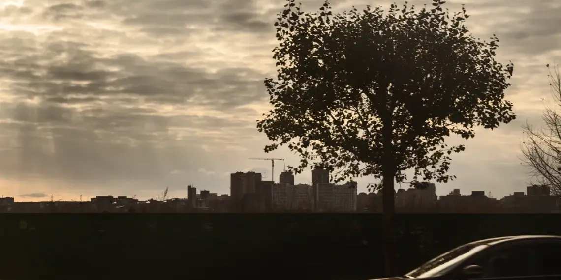 Качество воздуха в Новосибирске стало неблагоприятным для аллергиков и астматиков