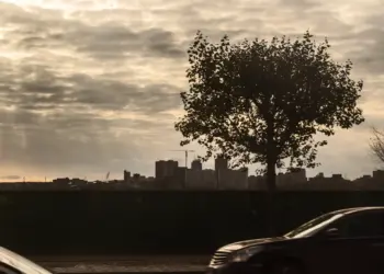 Качество воздуха в Новосибирске стало неблагоприятным для аллергиков и астматиков