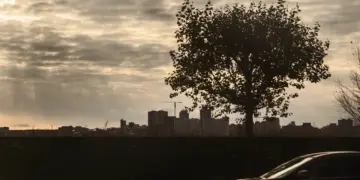 Качество воздуха в Новосибирске стало неблагоприятным для аллергиков и астматиков