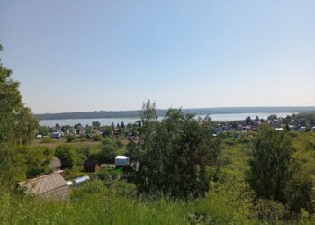 В НСО зарегистрированы первые покусы клещами