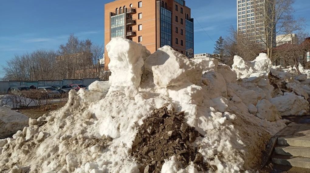 В Новосибирской области ускорят уборку территорий и перенесут субботники