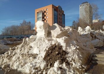 В Новосибирской области ускорят уборку территорий и перенесут субботники