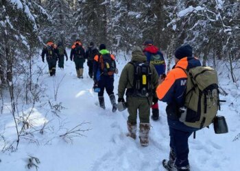 Почти 10 процентов новосибирцев, пропавших в прошлом месяце, не выжили