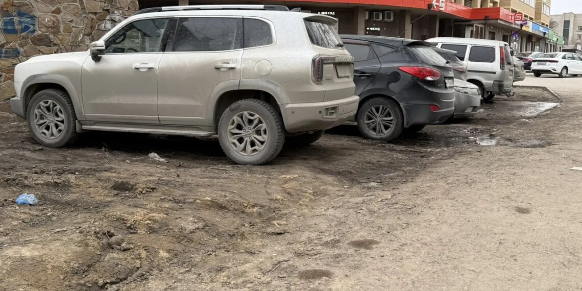 «Паркнетом» по автохамам: в Новосибирске началась активная борьба с парковками на газонах