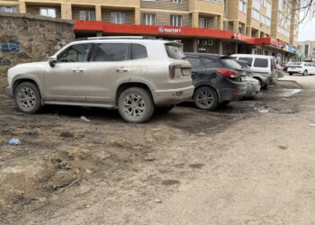 «Паркнетом» по автохамам: в Новосибирске началась активная борьба с парковками на газонах