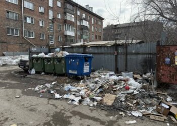 Прокуратура требует навести порядок с мусором в Новосибирске