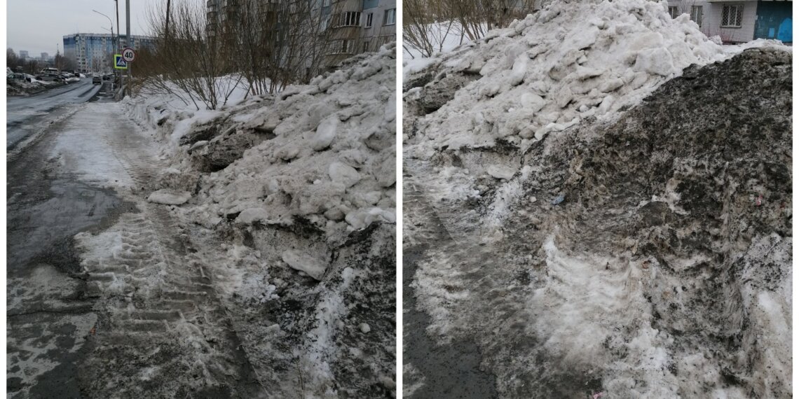 Сугробы, сломанные кусты, а теперь ещё и крысы: Октябрьский район снова в беде