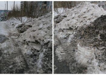 Сугробы, сломанные кусты, а теперь ещё и крысы: Октябрьский район снова в беде